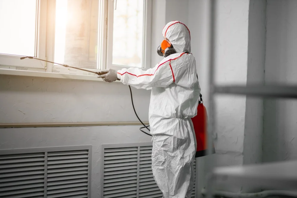 Professional mold remediation services in Port Gibson, NY